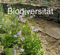 Biodiversität - Naturgartenelemente im eigenen Garten